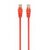 Патч-корд 0.5м UTP cat 6 Cablexpert (PP6U-0.5M/R) Патч-корд 0.5м UTP cat 6 Cablexpert (PP6U-0.5M/R)
