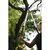 Секатор Fiskars телескопический SmartFit L86 (1013564), изображение 3 Секатор Fiskars телескопический SmartFit L86 (1013564), изображение 3