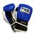 Боксерские перчатки Thor Ultimate 14oz Blue/Black/White (551/03(PU) B/BL/WH 14 oz.) Боксерские перчатки Thor Ultimate 14oz Blue/Black/White (551/03(PU) B/BL/WH 14 oz.)