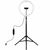 Набор блогера Puluz Ring USB LED lamp PKT3061B 11.8" + tripod 1.65 м (PKT3061B) Набор блогера Puluz Ring USB LED lamp PKT3061B 11.8" + tripod 1.65 м (PKT3061B)