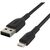 Дата кабель USB 2.0 AM to Lightning 2.0m Belkin (CAA002BT2MBK), изображение 4 Дата кабель USB 2.0 AM to Lightning 2.0m Belkin (CAA002BT2MBK), изображение 4