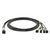 Оптичний патчкорд Alistar QSFP to 4*SFP+ 40G Directly-attached Copper Cable 1M (DAC-QSFP-4SFP+-1M) Оптичний патчкорд Alistar QSFP to 4*SFP+ 40G Directly-attached Copper Cable 1M (DAC-QSFP-4SFP+-1M)