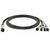 Оптичний патчкорд Alistar QSFP to 4*SFP+ 40G Directly-attached Copper Cable 5M (DAC-QSFP-4SFP+-5M) Оптичний патчкорд Alistar QSFP to 4*SFP+ 40G Directly-attached Copper Cable 5M (DAC-QSFP-4SFP+-5M)