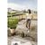Мойка высокого давления Karcher K Mini (1.600-054.0), изображение 2 Мойка высокого давления Karcher K Mini (1.600-054.0), изображение 2