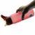 Бутылка для воды Casno KXN-1210 750 мл Red (KXN-1210_Red), изображение 4 Бутылка для воды Casno KXN-1210 750 мл Red (KXN-1210_Red), изображение 4