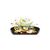 Набор посуды Tefal Ingenio Eco Respect 2 предмета + съемная (L6759103), изображение 2 Набор посуды Tefal Ingenio Eco Respect 2 предмета + съемная (L6759103), изображение 2
