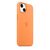 Чехол для моб. телефона Apple iPhone 13 Silicone Case with MagSafe Marigold, Model A2706 (MM243ZE/A), изображение 7 Чехол для моб. телефона Apple iPhone 13 Silicone Case with MagSafe Marigold, Model A2706 (MM243ZE/A), изображение 7