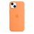 Чехол для моб. телефона Apple iPhone 13 Silicone Case with MagSafe Marigold, Model A2706 (MM243ZE/A) Чехол для моб. телефона Apple iPhone 13 Silicone Case with MagSafe Marigold, Model A2706 (MM243ZE/A)