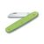 Нож Victorinox Floral Matt Green Blister (3.9050.47B1) Нож Victorinox Floral Matt Green Blister (3.9050.47B1)
