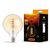 Лампочка Videx Filament G125FASD 5W E27 2200K 220V (VL-G125FASD-05272), изображение 2 Лампочка Videx Filament G125FASD 5W E27 2200K 220V (VL-G125FASD-05272), изображение 2