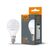 Лампочка Videx LED G45e 3.5W E14 4100K 220V (VL-G45e-35144), изображение 2 Лампочка Videx LED G45e 3.5W E14 4100K 220V (VL-G45e-35144), изображение 2