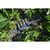 Батарейка Panasonic LR03 PANASONIC Evolta * 4 (LR03EGE/4BP), зображення 4 Батарейка Panasonic LR03 PANASONIC Evolta * 4 (LR03EGE/4BP), зображення 4