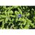 Батарейка Panasonic LR03 PANASONIC Evolta * 4 (LR03EGE/4BP), зображення 5 Батарейка Panasonic LR03 PANASONIC Evolta * 4 (LR03EGE/4BP), зображення 5