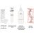 Краска для волос Color Expert 7-7 Медный 142.5 мл (4015100325614), изображение 2 Краска для волос Color Expert 7-7 Медный 142.5 мл (4015100325614), изображение 2
