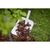 Лопата Fiskars Shovel White (1019602), изображение 2 Лопата Fiskars Shovel White (1019602), изображение 2