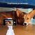 Набор блогера AirOn 360 ° AirFace for TikTok, Instagram, Facebook, Zoom, white (6126755803218), изображение 7 Набор блогера AirOn 360 ° AirFace for TikTok, Instagram, Facebook, Zoom, white (6126755803218), изображение 7