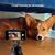 Набор блогера AirOn 360 ° AirFace for TikTok, Instagram, Facebook, Zoom, black (6126755803219), изображение 7 Набор блогера AirOn 360 ° AirFace for TikTok, Instagram, Facebook, Zoom, black (6126755803219), изображение 7