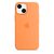 Чехол для моб. телефона Apple iPhone 13 mini Silicone Case with MagSafe - Marigold, Model (MM1U3ZE/A) Чехол для моб. телефона Apple iPhone 13 mini Silicone Case with MagSafe - Marigold, Model (MM1U3ZE/A)