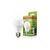 Лампочка EUROELECTRIC LED А60 7W E27 4000K 220V (LED-A60-07274(EE)), изображение 2 Лампочка EUROELECTRIC LED А60 7W E27 4000K 220V (LED-A60-07274(EE)), изображение 2