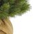 Искусственная сосна Triumph Tree Forest Frosted зеленая 0,45 м (8712799955837), изображение 2 Искусственная сосна Triumph Tree Forest Frosted зеленая 0,45 м (8712799955837), изображение 2