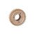 Шестерня Samsung ML-1210/1250/1520,Ph3110/3210 аналог JC66-0037C BASF (BASF-JC66-0037C) Шестерня Samsung ML-1210/1250/1520,Ph3110/3210 аналог JC66-0037C BASF (BASF-JC66-0037C)
