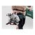 Торцовочная пила Metabo KGS 254M (602540000), изображение 2 Торцовочная пила Metabo KGS 254M (602540000), изображение 2