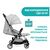 Коляска Chicco Goody Plus Stroller серая (79877.72), изображение 3 Коляска Chicco Goody Plus Stroller серая (79877.72), изображение 3