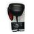 Боксерские перчатки Thor Ring Star 14oz Black/White/Red (536/02(PU)BLK/WHT/RED 14 oz.), изображение 4 Боксерские перчатки Thor Ring Star 14oz Black/White/Red (536/02(PU)BLK/WHT/RED 14 oz.), изображение 4