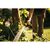 Пистолет для полива Fiskars мультифункциональный Watering (1023665), изображение 5 Пистолет для полива Fiskars мультифункциональный Watering (1023665), изображение 5