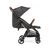 Коляска Peg-Perego Selfie 500 изящно-коричневая с полоской (IP22000000GS53SQ53), изображение 2 Коляска Peg-Perego Selfie 500 изящно-коричневая с полоской (IP22000000GS53SQ53), изображение 2
