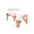 Вкладыш для бюстгальтера Medela Disposable nursing pads Pads 30 шт (101037038), изображение 2 Вкладыш для бюстгальтера Medela Disposable nursing pads Pads 30 шт (101037038), изображение 2