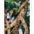 Шампунь Yope Olive Tree 300 мл (5903760202071), изображение 2 Шампунь Yope Olive Tree 300 мл (5903760202071), изображение 2