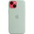 Чехол для моб. телефона Apple iPhone 14 Plus Silicone Case with MagSafe - Succulent,Model A2911 (MPTC3ZE/A), изображение 5 Чехол для моб. телефона Apple iPhone 14 Plus Silicone Case with MagSafe - Succulent,Model A2911 (MPTC3ZE/A), изображение 5