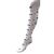 Колготки UCS Socks с бантиками (M0C0301-2034-5G-white) Колготки UCS Socks с бантиками (M0C0301-2034-5G-white)