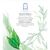 Твердое мыло Safeguard Natural Detox С экстрактом чайного дерева 3 x 110 г (8001841825342), изображение 4 Твердое мыло Safeguard Natural Detox С экстрактом чайного дерева 3 x 110 г (8001841825342), изображение 4