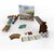 Настольная игра Alderac Entertainment Group Ecos: The First Continent (Экос: Первый континент) англ. (729220070623), изображение 2 Настольная игра Alderac Entertainment Group Ecos: The First Continent (Экос: Первый континент) англ. (729220070623), изображение 2