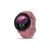 Смарт-часы Garmin Forerunner 255S Basic, Light Pink (010-02641-13) Смарт-часы Garmin Forerunner 255S Basic, Light Pink (010-02641-13)