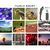 Бинокль Pentax UP 8.5x21 Papillio II (930160), изображение 7 Бинокль Pentax UP 8.5x21 Papillio II (930160), изображение 7