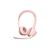 Наушники Logitech H390 USB Rose (981-001281) Наушники Logitech H390 USB Rose (981-001281)