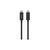 Дата кабель THUNDERBOLT 4, 40Gbps, 100W, 2m Black Belkin (INZ002BT2MBK) Дата кабель THUNDERBOLT 4, 40Gbps, 100W, 2m Black Belkin (INZ002BT2MBK)