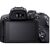 Цифровой фотоаппарат Canon EOS R10 + RF-S 18-150 IS STM (5331C048), изображение 3 Цифровой фотоаппарат Canon EOS R10 + RF-S 18-150 IS STM (5331C048), изображение 3