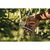 Секатор Fiskars Plus P531, 27.1 см, 269гр (1057168), изображение 2 Секатор Fiskars Plus P531, 27.1 см, 269гр (1057168), изображение 2