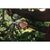 Секатор Fiskars Plus P531, 27.1 см, 269гр (1057168), изображение 4 Секатор Fiskars Plus P531, 27.1 см, 269гр (1057168), изображение 4