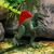 Интерактивная игрушка Dinos Unleashed серии Realistic S2 – Спинозавр (31123S2), изображение 3 Интерактивная игрушка Dinos Unleashed серии Realistic S2 – Спинозавр (31123S2), изображение 3