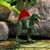 Интерактивная игрушка Dinos Unleashed серии Realistic S2 – Спинозавр (31123S2), изображение 5 Интерактивная игрушка Dinos Unleashed серии Realistic S2 – Спинозавр (31123S2), изображение 5