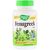 Травы Nature's Way Пажитник, Fenugreek Seed, 610 мг, 180 капсул (NWY-14610) Травы Nature's Way Пажитник, Fenugreek Seed, 610 мг, 180 капсул (NWY-14610)