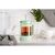 Френч-пресс Ardesto Fresh 800 мл Light Green (AR1008LGB), изображение 7 Френч-пресс Ardesto Fresh 800 мл Light Green (AR1008LGB), изображение 7