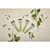 Бритва Wilkinson Sword Xtreme3 Eco Green 4 шт. (4027800175000), зображення 9 Бритва Wilkinson Sword Xtreme3 Eco Green 4 шт. (4027800175000), зображення 9