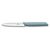 Кухонный нож Victorinox Swiss Modern Paring Serrate 10см Blue (6.9006.10W21) Кухонный нож Victorinox Swiss Modern Paring Serrate 10см Blue (6.9006.10W21)