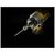 Набор бит DeWALT IMPACT TORSION, ударных, T25, L=57 мм, 2 шт + магнитный держатель (DT70538T), изображение 5 Набор бит DeWALT IMPACT TORSION, ударных, T25, L=57 мм, 2 шт + магнитный держатель (DT70538T), изображение 5